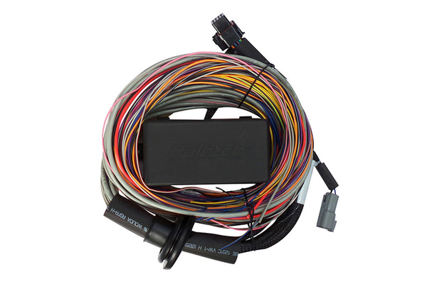 Haltech Elite 750 + Premium Universal Wire-in Harness Kit Length: 2.5m (8') HT-150604