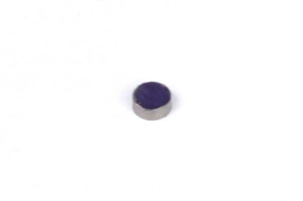 Haltech Rare Earth Magnets (5mm Dia x 2mm H) (HT-010602)