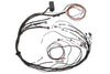 Haltech Elite 1000 Terminated Harness (HT-140875)
