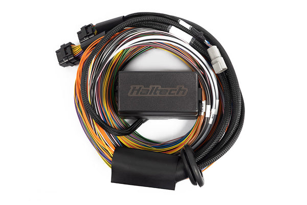 Haltech Elite 2500/2500 T Premium Universal Wire-In Harness - 2.5m (8ft)