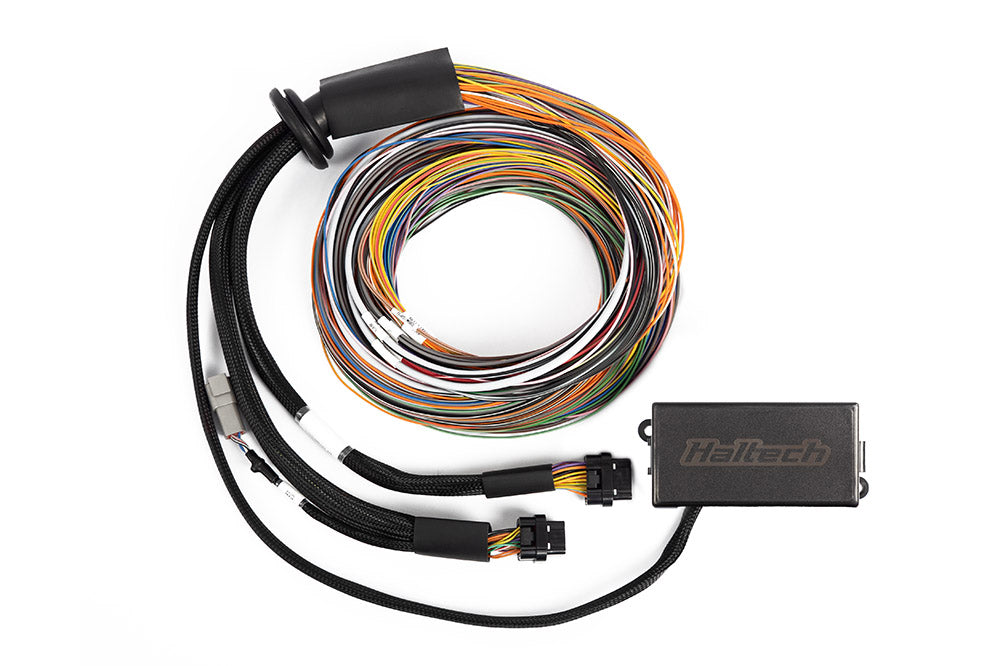 Haltech Elite 2500/2500 T Premium Universal Wire-In Harness - 2.5m (8ft) (HT-141304)