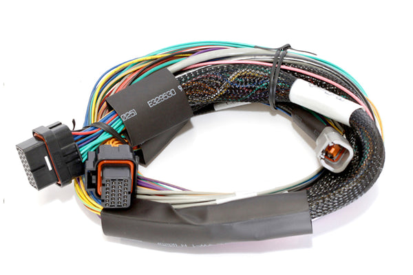 Haltech Elite 1500 + Basic Universal Wire-in Harness Kit Length: 2.5m (8') HT-150902