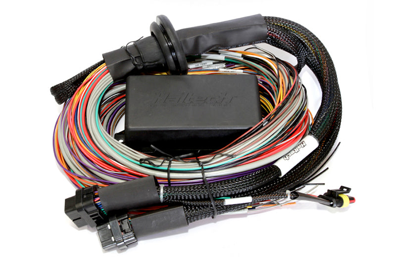 Haltech Elite 2500 + Premium Universal Wire-in Harness Kit Length: 5.0m (16') HT-151305