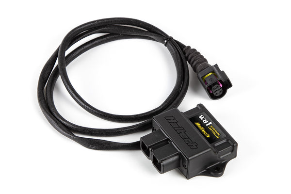 Haltech WB1 Single Channel CAN O2 Wideband Controller Kit (HT-159976)