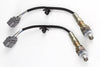 Haltech WB2 Dual Channel CAN O2 Wideband Controller Kit w/NTK LZA09-E1 Sensor - 1.2M (4ft) (HT-159989)
