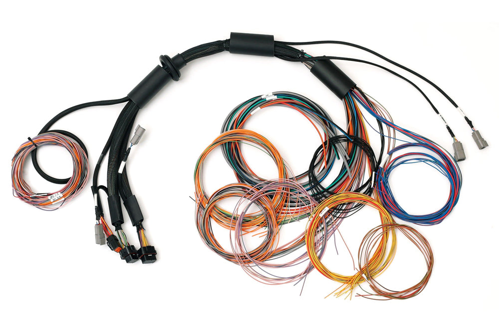 Haltech Nexus R3 Universal Wire-in Harness - 2.5m (8') Length: 2.5M HT-183200