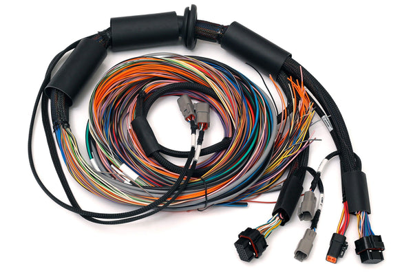 Haltech Nexus R3 Universal Wire-in Harness - 2.5m (8') Length: 2.5M HT-183200