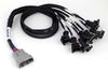 Haltech NEXUS V8 Junior Timer (EV1) Injector Primary Breakout (Plug-n-Play w/HT-186200) (HT-186000)