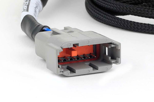 Haltech NEXUS V8 Junior Timer (EV1) Injector Primary Breakout (Plug-n-Play w/HT-186200) (HT-186000)