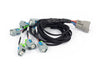 Haltech NEXUS Rebel LS EV6 Injector Sub-Harness (HT-186502)