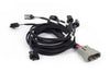 Haltech NEXUS Rebel LS Multec 2 Injector Sub-Harness (HT-186503)