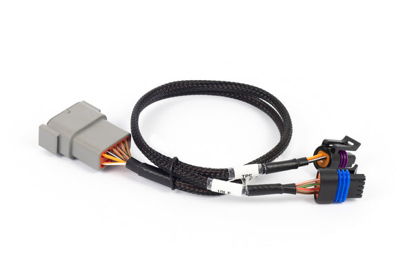Haltech NEXUS Rebel LS Cable Throttle & IAC Sub-Harness (HT-186504)