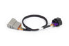 Haltech NEXUS Rebel LS 8-Pin DBW Adaptor (HT-186506)