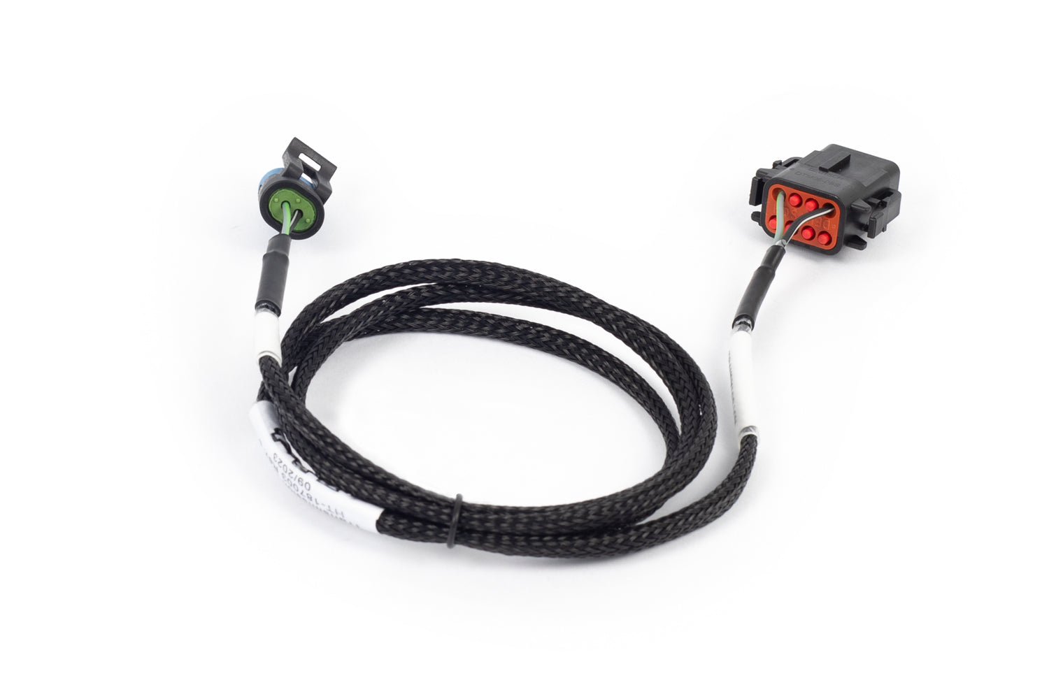 Haltech NEXUS Rebel LS T56 Transmission Harness (HT-187003)