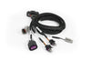 Haltech NEXUS Universal Plug-in IO Expansion Harness - 2.5m (8ft) (HT-189002)