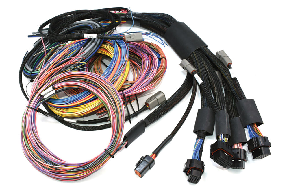 Haltech NEXUS R5 + Universal Wire-in Harness Kit Length: 2.5m (8') HT-195200