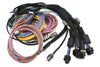 Haltech NEXUS R5 + Universal Wire-in Harness Kit - 5M / 16' Length: 5m (16') HT-195201
