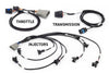 Haltech NEXUS Rebel LS Gen III Cable Throttle/EV1 Injectors/Manual Transmission (HT-220201)