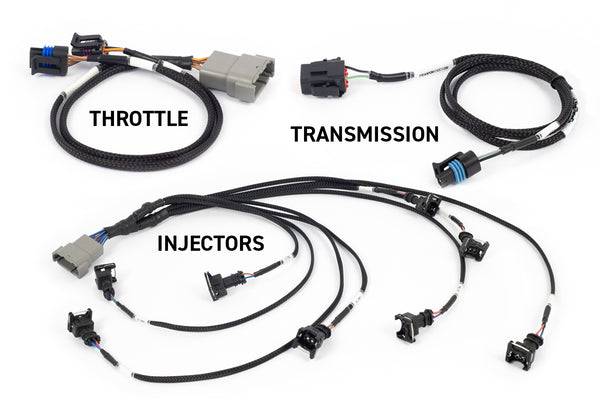 Haltech NEXUS Rebel LS Gen III Cable Throttle/EV1 Injectors/Manual Transmission (HT-220201)