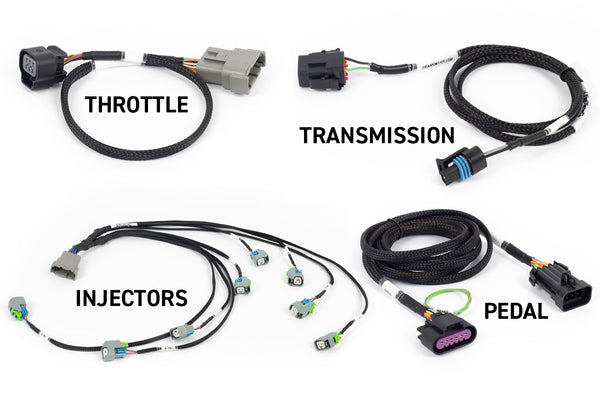 Haltech NEXUS Rebel LS Gen IV 6-Pin DBW Throttle/EV6 Injectors/Manual Transmission (HT-220204)