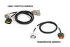 Haltech NEXUS Rebel JZ/Cable Throttle/EV1 Injectors/Manual Transmission (HT-220205)